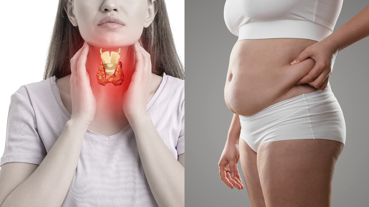 Hypothyroidism Weight Loss & Dhatu Agni | Tanmatra Ayurveda
